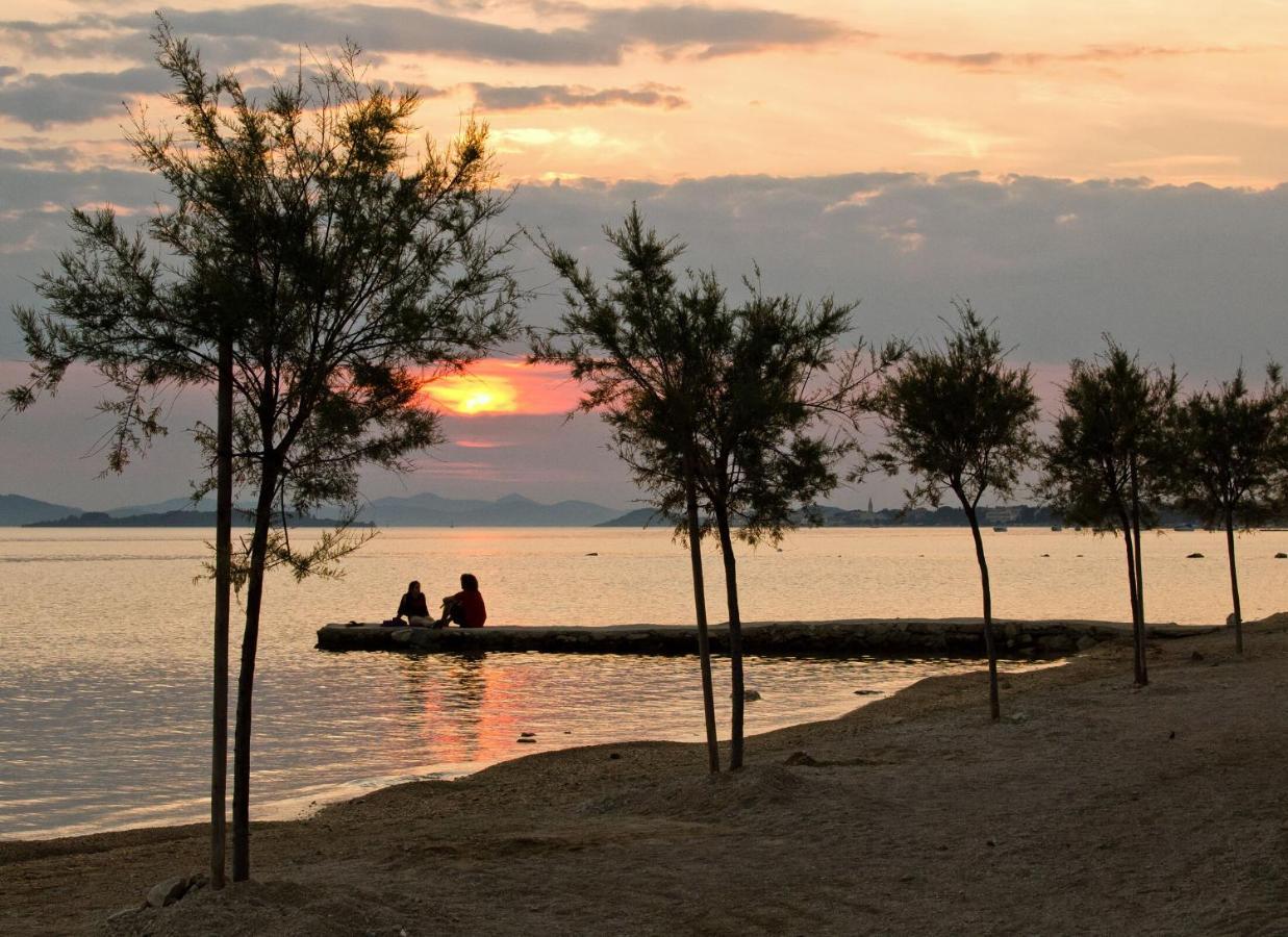 Mobile Dandelion Biograd Na Moru